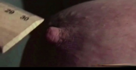 Busty chick Lori is subjected to abuse with a ruler by a man and a women