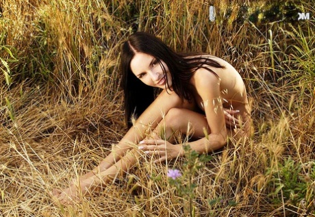 Dark haired beauty Aurita shows her pert tits while posing nude in the wild