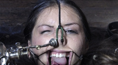 White girl Sister Dee is used and abused while restrained in a dungeon - pornpics.de