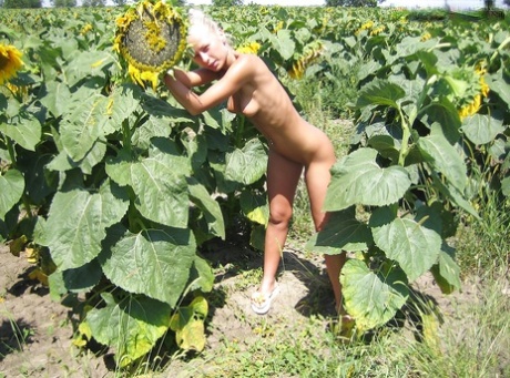 Homemade posing scene in a sunflower field with a hot blondie - pornpics.de