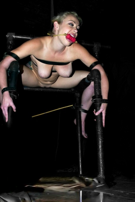 Tattooed girl Adrianna Nicole is restrained and gagged before being abused - pornpics.de