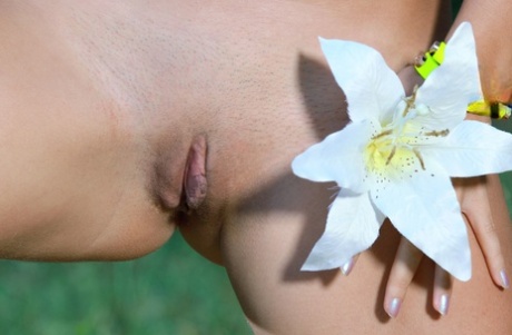 Erotic Beauty Malinka A - pornpics.de