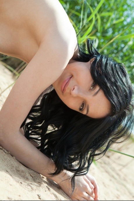 Domai Anja B