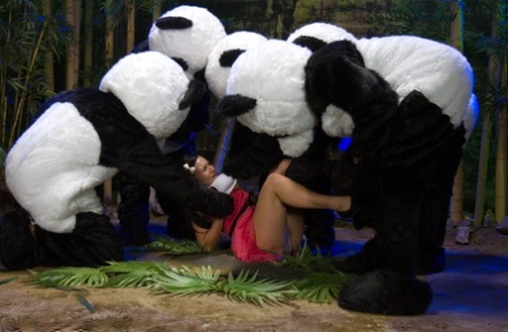 Ashli Orion gets face fucked by a bunch of men dressed in panda costumes - pornpics.de