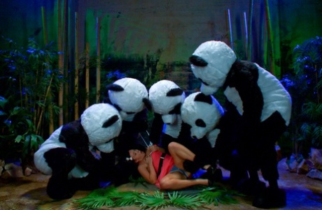 Ashli Orion gets face fucked by a bunch of men dressed in panda costumes - pornpics.de
