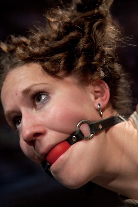 Hogtied featuring Bonnie Day Porn Pics