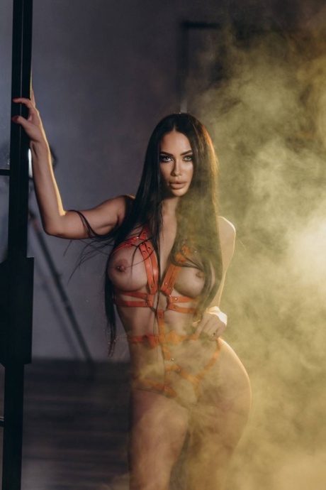 Gorgeous model Gymnast Alina flaunts her big tits and big booty in lingerie