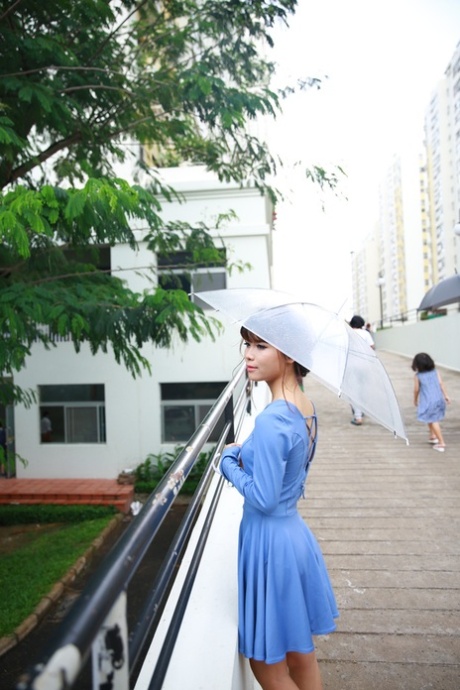 弯曲箱,弯曲箱