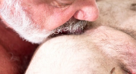 Hairy jocks Tony DaRimma and Stephen Harte fuck each other deeply
