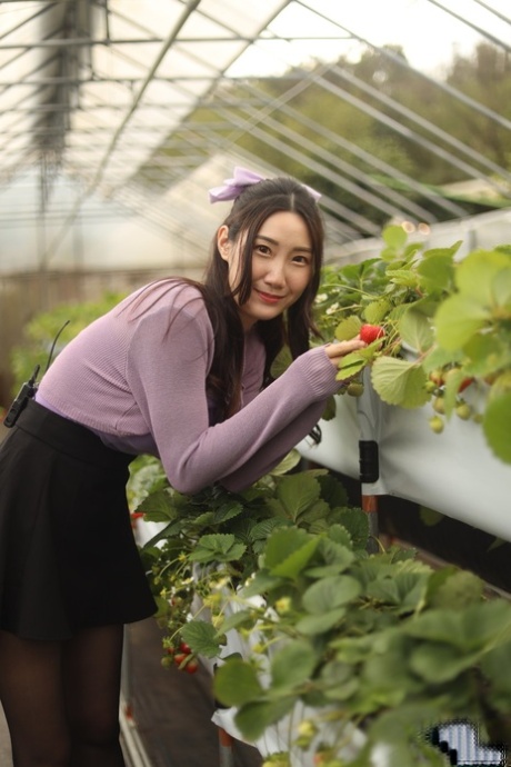 亚洲贝贝构成在一个普通的衣服之前骑一个家伙在热内衣