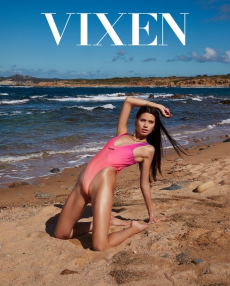 Vixen Evelin Elle, Vince Karter