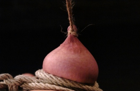 淫贝贝LieLani得到她的大nips绳子绑和拉扯硬上一个BDSM轮
